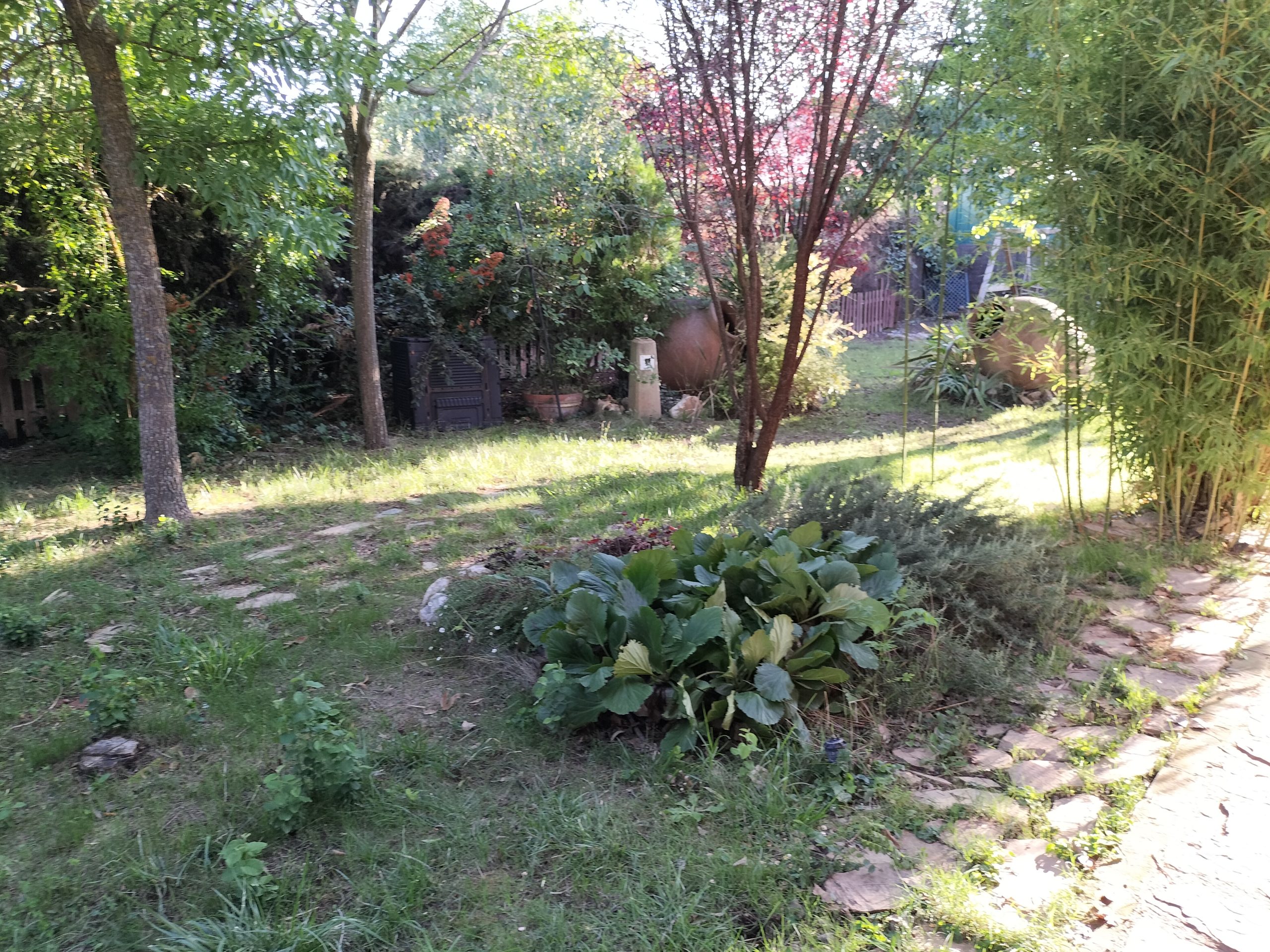 IMG20230913190455