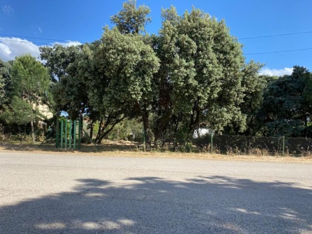 FOTO1
