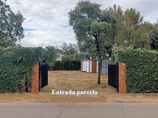 FOTO2