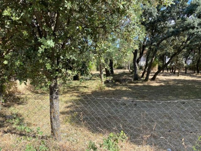 FOTO4