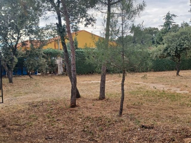 FOTO5