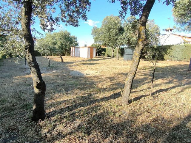 FOTO6